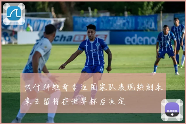 武什科维奇专注国家队表现热刺未来去留将在世界杯后决定
