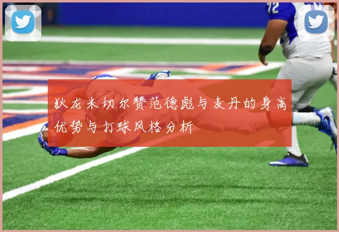 狄龙米切尔赞范德彪与麦丹的身高优势与打球风格分析