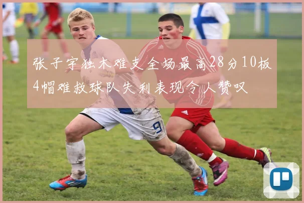 张子宇独木难支全场最高28分10板4帽难救球队失利表现令人赞叹