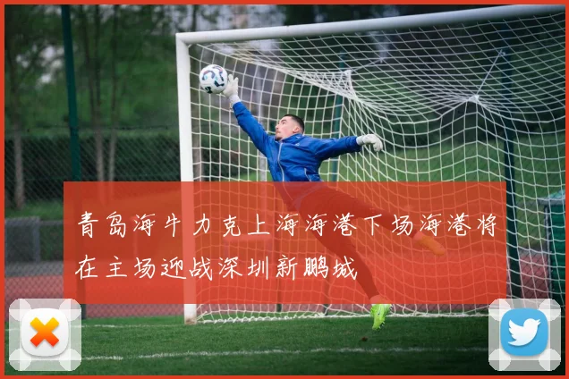 青岛海牛力克上海海港下场海港将在主场迎战深圳新鹏城